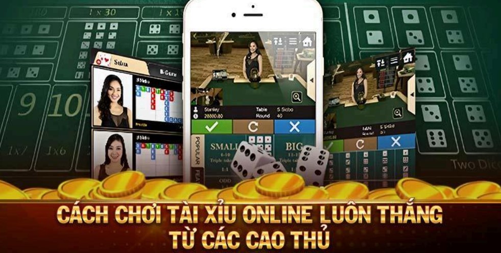 cách chơi tài xỉu online
